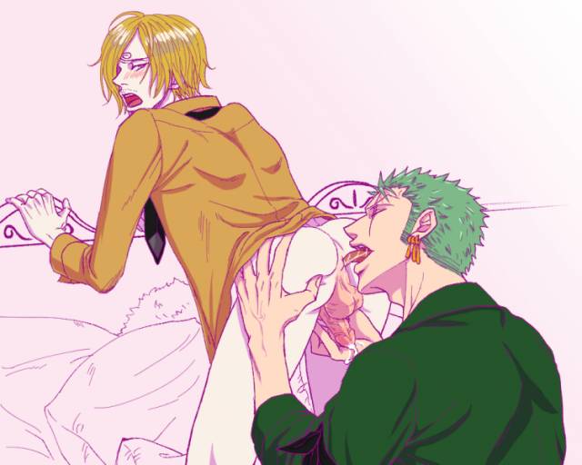 roronoa zoro+sanji
